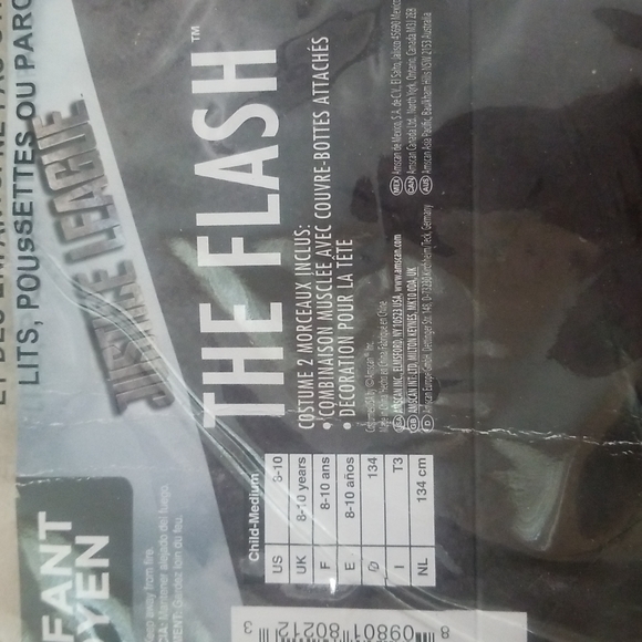 Flash - Picture 7 of 7